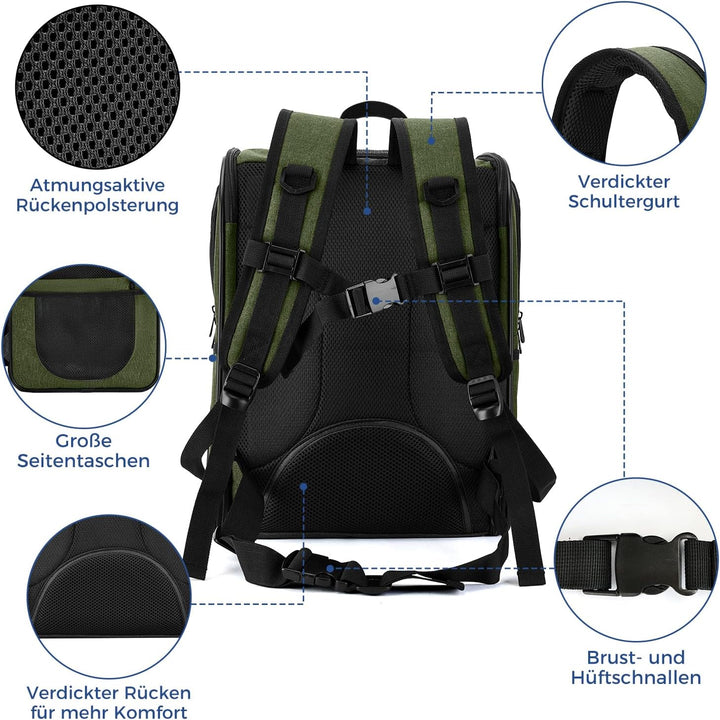 apollo walker HundeRucksack und KatzenRucksack für Kleine Haustiere(Belastbarkeit 2-15kg) - Gepolste