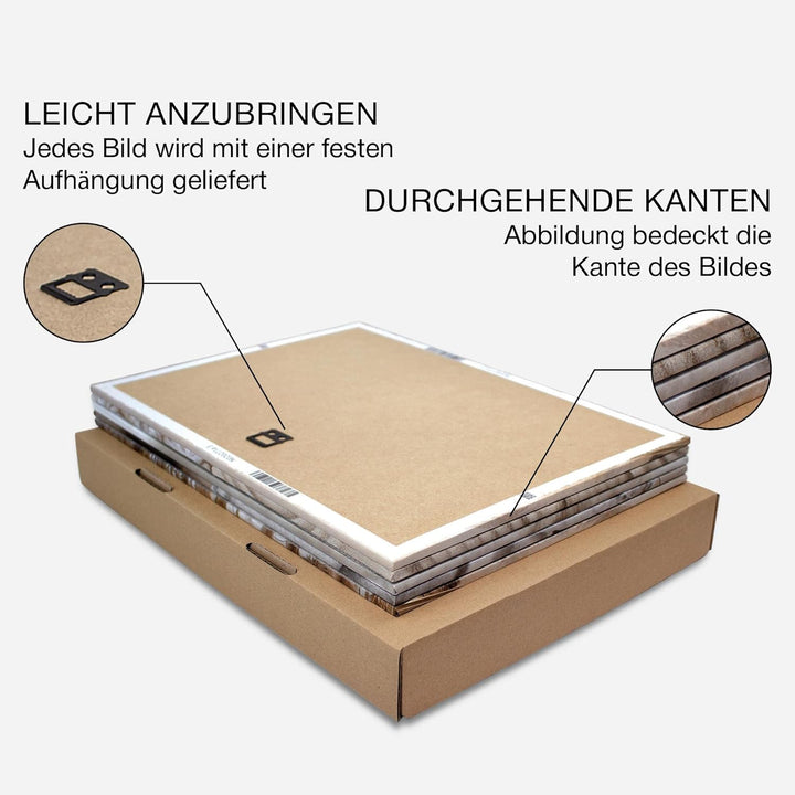 Novart Bilder Set - AUFHÄNGFERTIG - KEIN EXTRA RAHMEN BENÖTIGT - Natur Pflanzen Modern Kaktus - Wohn