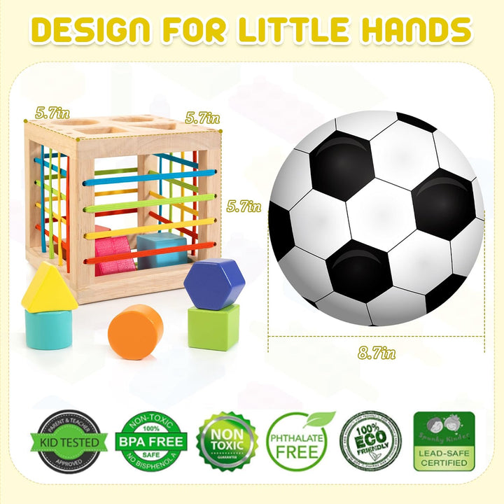 Winique Formsortier-Holzspielzeug ab 1 Jahr, Montessori sensorisches Spielzeug, Babyblöcke, Feinmoto