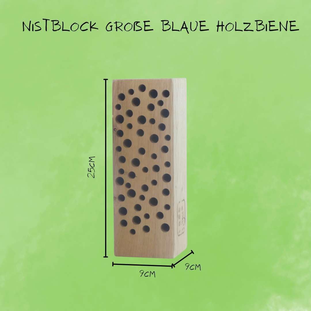 Insektenhotel Massiv Holzbiene Wildbiene 2024" Nisthilfe für Blauschwarze Holzbienen - Hochwertiges