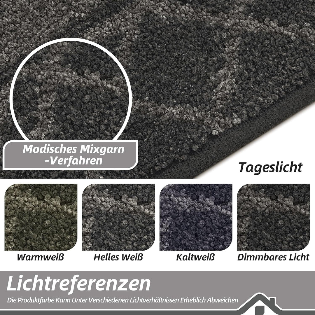 BEQHAUSE Fussabtreter Innen, Fussmatte, Schmutzfangmatte Waschbar, TPR rutschfest Fussabtreter Innen