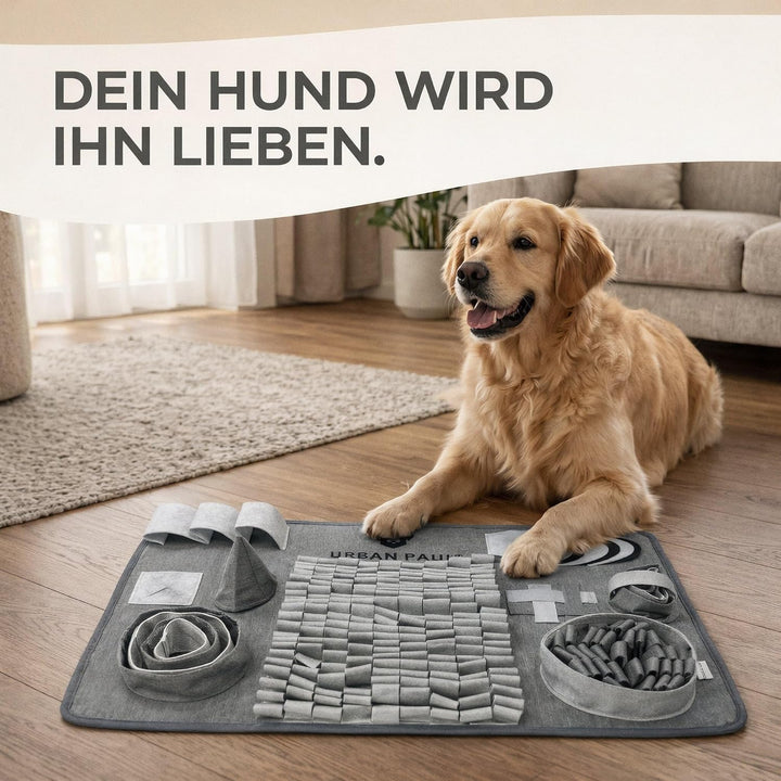 Schnüffelteppich für Hunde - Explore - NEU - Vielfältige Schnüffelmatte mit 3 Schwierigkeitslevel -