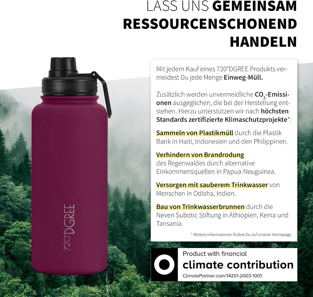 720°DGREE Edelstahl Thermo Trinkflasche 950ml “noLimit” +Früchtebehälter - Auslaufsicher, Kohlensäur