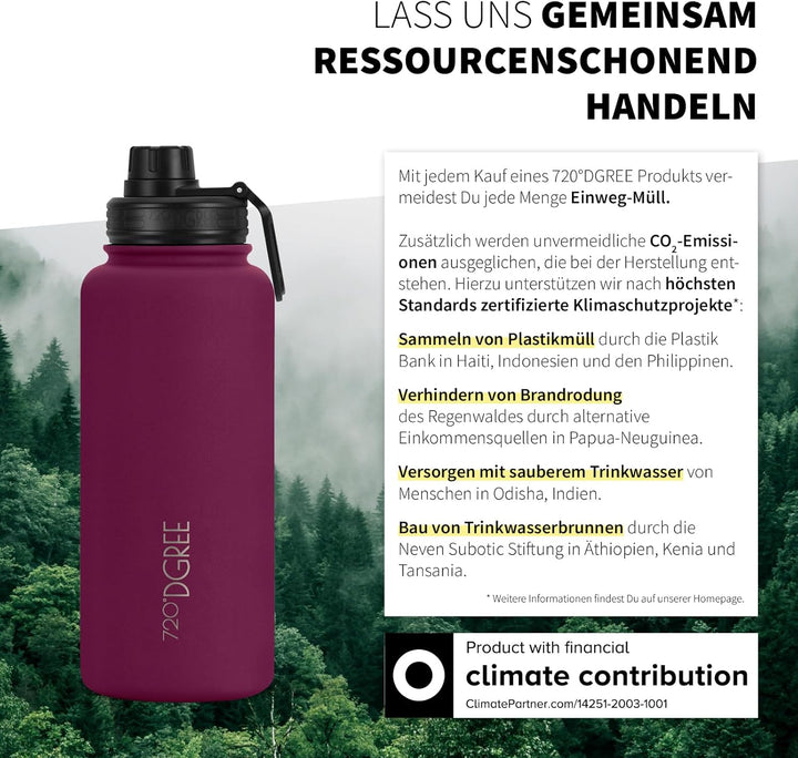 720°DGREE Edelstahl Thermo Trinkflasche 950ml “noLimit” +Früchtebehälter - Auslaufsicher, Kohlensäur