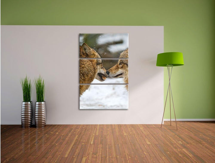 Pixxprint liebevolle Wölfe im Schnee 3-Teiler Leinwandbild 120x80 Bild auf Leinwand