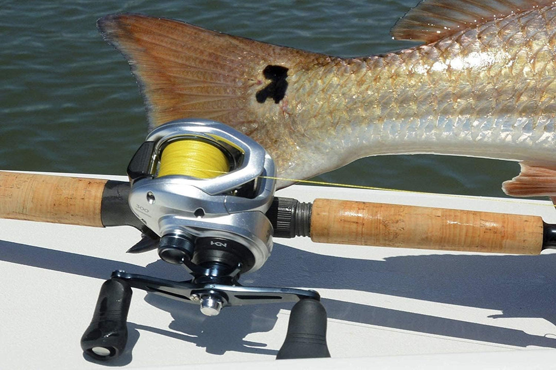 Shimano Tranx Baitcast Rolle Linkshand 401 (Gauche), 401 (Gauche)