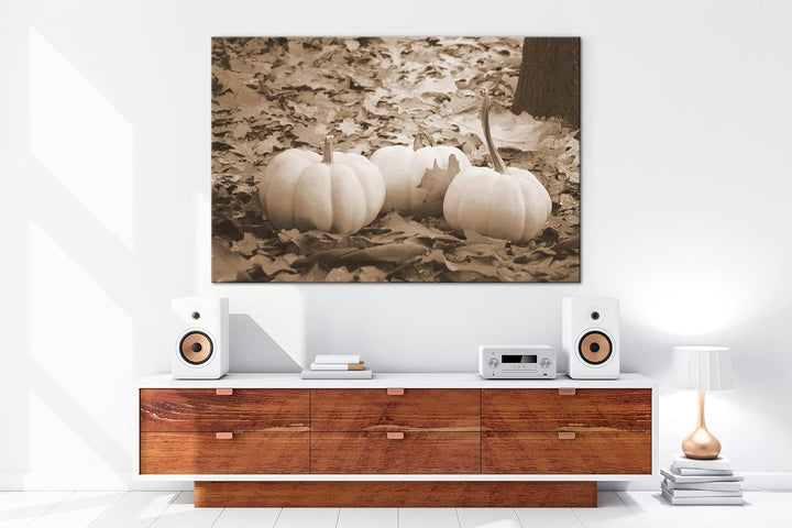 deyoli Herbstliche Kürbise Effekt: Sepia Format: 80x60 als Leinwandbild, Motiv fertig gerahmt auf Ec