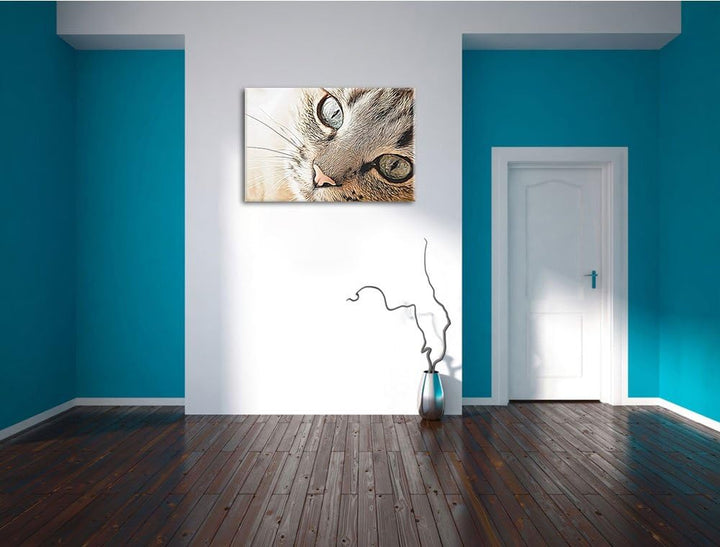 schöne Katzenaugen Format: 100x70 auf Leinwand, XXL riesige Bilder fertig gerahmt mit Keilrahmen, Ku