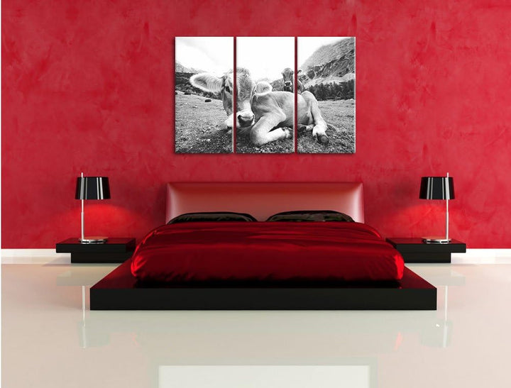 Pixxprint Almkuh in den Bergen als Leinwandbild/Grösse: 3 Teilig (120x80) cm/Wandbild/Kunstdruck/fer