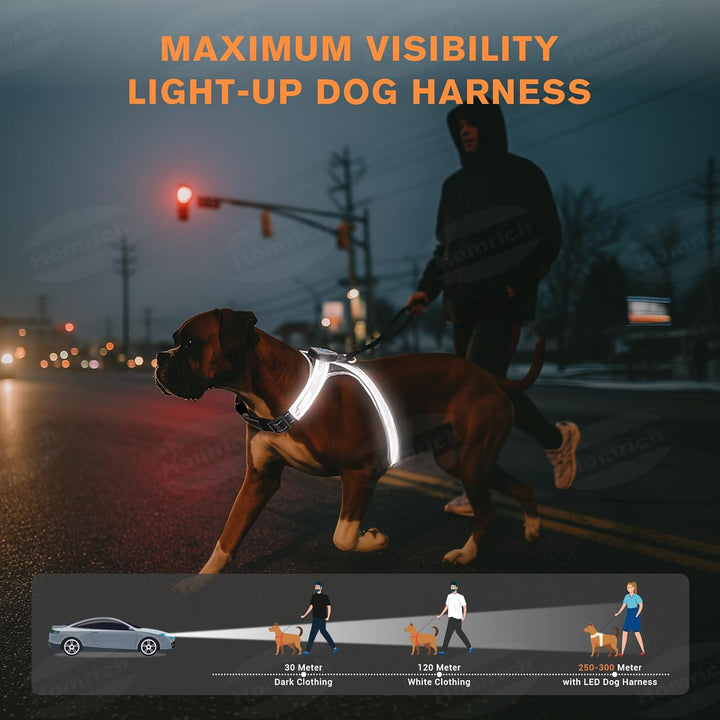 LED Leuchtgeschirr für Hunde - Aufladbar & Reflektierend Hundegeschirr, 3-Lagiges Air Mesh für Atmun