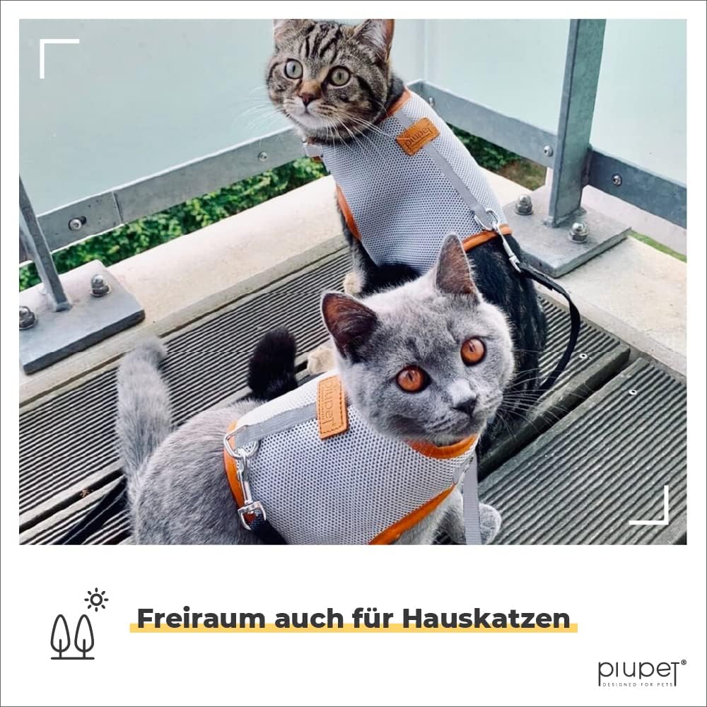 PiuPet® Katzengeschirr (M) mit 1,2m Leine I ausbruchsicher I Geschirr Katze I Katzengeschirr ausbruc