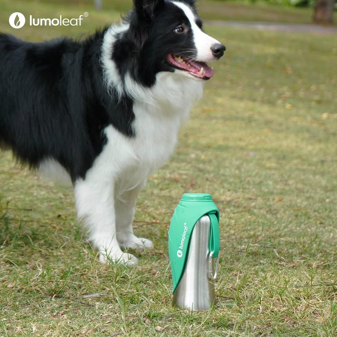 LumoLeaf Hundetrinkflasche für unterwegs, 800ml Edelstahl Trinkflasche Hund, Tragbare Haustier Wasse