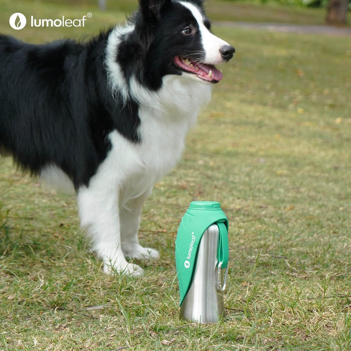 LumoLeaf Hundetrinkflasche für unterwegs, 800ml Edelstahl Trinkflasche Hund, Tragbare Haustier Wasse
