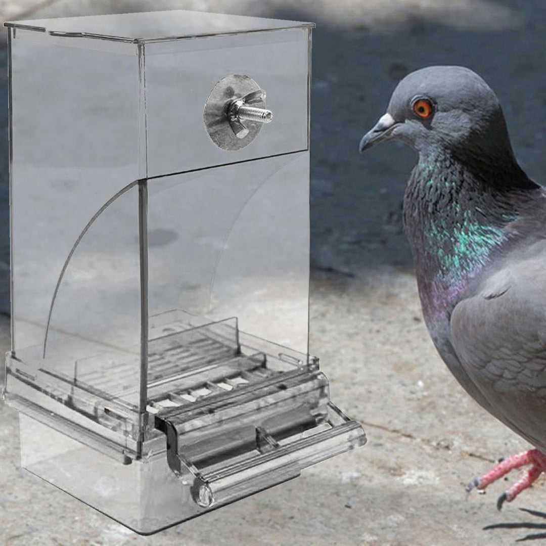 Vogelfutterspender Transparenter grosser Acryl-Futterbehälter | Automatischer Vogel-Futterbehälter F