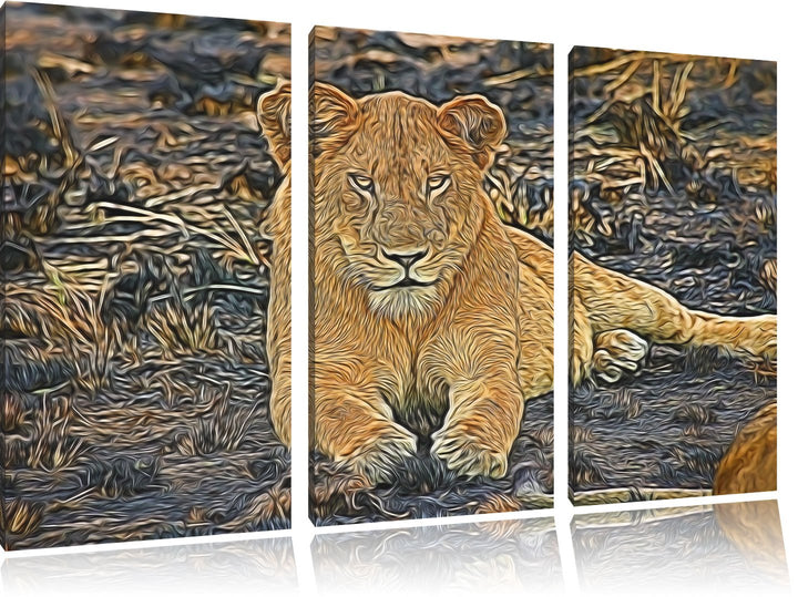 Löwin ruht auf Boden NewArt 3-Teiler Leinwandbild 120x80 Bild auf Leinwand, XXL riesige Bilder ferti