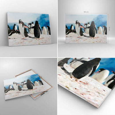 Bilder auf Leinwand 100x70cm Leinwandbild Pinguine Winter Natur Schnee Gross Wanddeko Bild Schlafzim