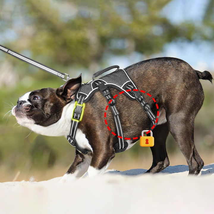 HEELE Hundegeschirr, Ausbruchsicher, Schnalle im Halsbereich, Reflektierend, Brustgeschirr mit Robus