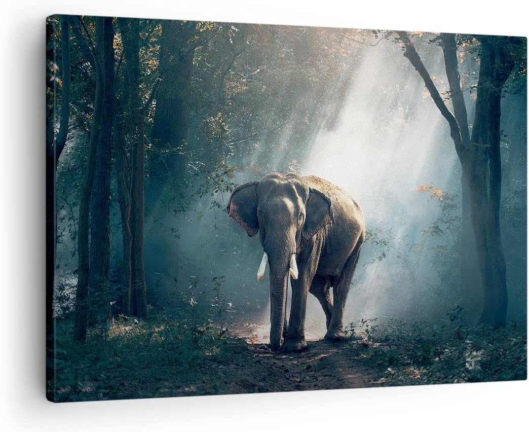 Bilder auf Leinwand elefant natur Leinwandbild mit Rahmen 70x50cm Wandbilder Dekoration Wohnzimmer S
