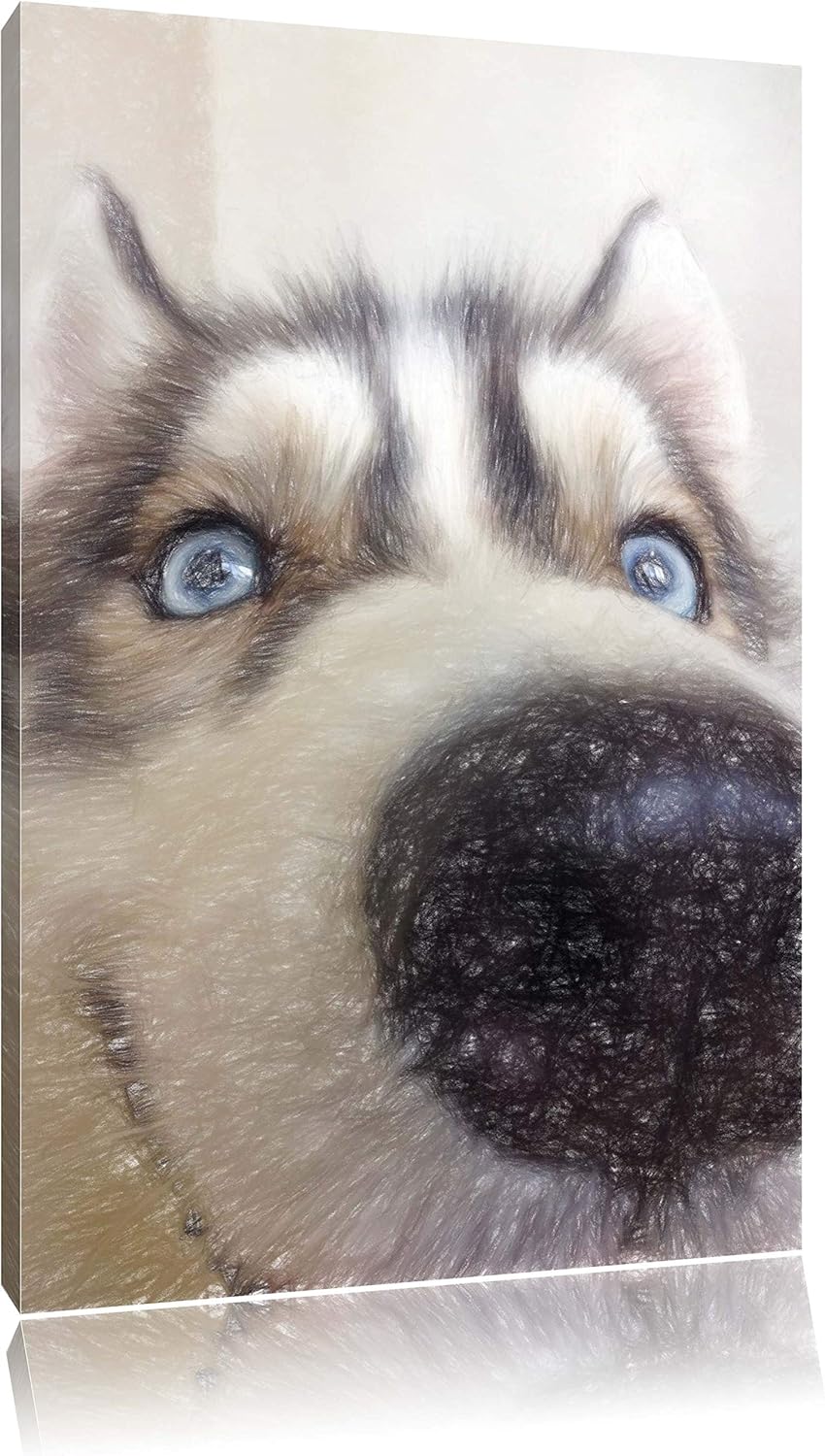 Pixxprint Glücklicher Husky als Leinwandbild/Grösse: 100x70 cm/Wandbild/Kunstdruck/fertig bespannt,
