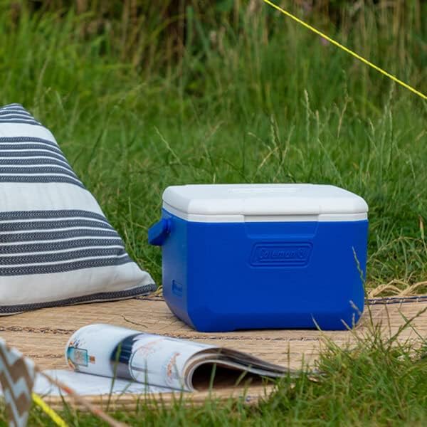Coleman Performance 6 Personal Kühlbox, passive kleine Thermobox für Essen und Getränke, Eisbox mit