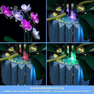 Led Licht Set für Lego Orchidee, Led Beleuchtungs Set für Lego 10311 Orchidee Botanical Collection S