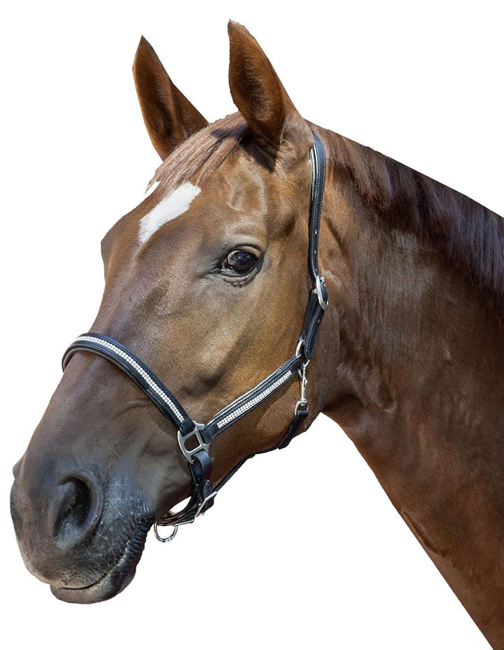 HKM 1590 Halfter Diamond, Pferdehalfter mit Synth. Diamanten, Leder, Pony VB WB Schwarz pony, Schwar
