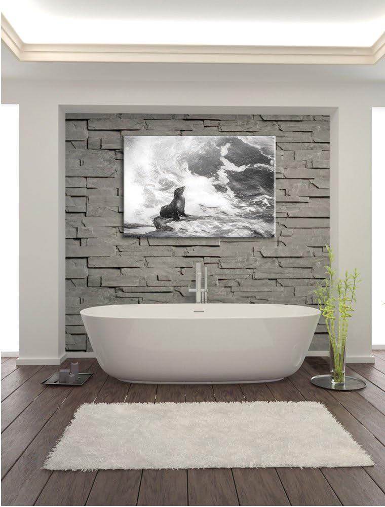 Pixxprint süsse Robbe sonnt Sich Kunst Kohle Effekt, Format: 100x70 auf Leinwand, riesige Bilder fer