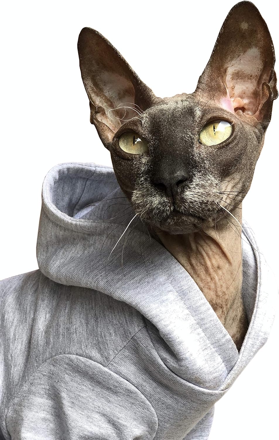 Katzen Kleidung Hoodie AtHome (S) Cloud Grey Small, Cloud Grey Small