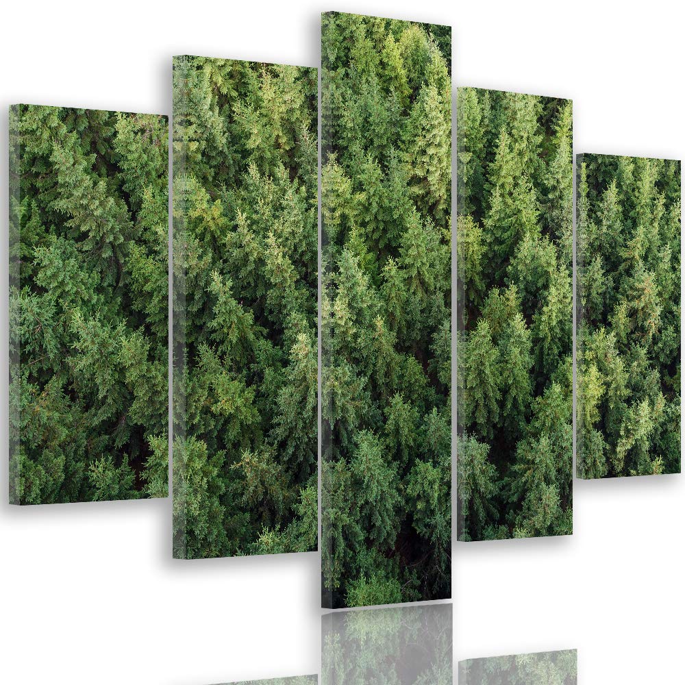 Feeby Leinwandbild 5 Teilig Landschaft Bild Wanddeko Wald Bäume Fichten grün 200x100 cm Leinwandbild