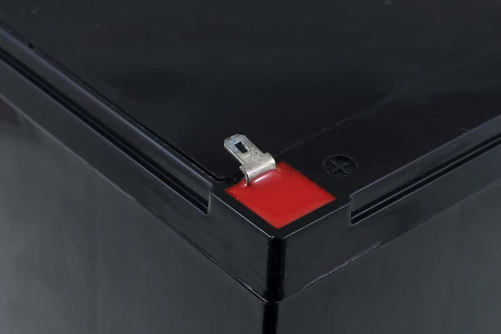 FIAMM Bleiakku FG21202 VDs, 12V, Lead-Acid