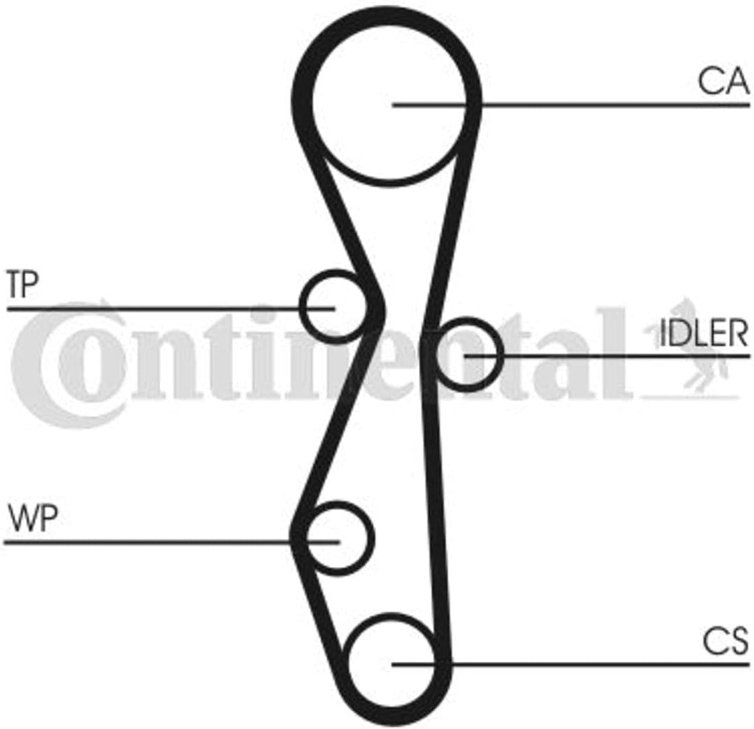 CONTITECH CT1091 Zahnriemen