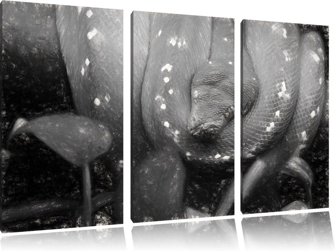 Pixxprint grüne Schlange als Leinwandbild/Grösse: 3 Teilig (120x80) cm/Wandbild/Kunstdruck/fertig be