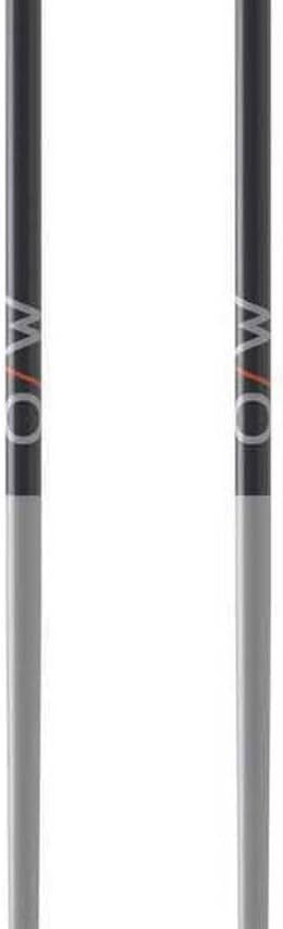 Fischer Skistöcke OneWay GT18 Flame/Vapor All Mountain Alpin Stöcke Aluminium 110cm Vapor, 110cm Vap