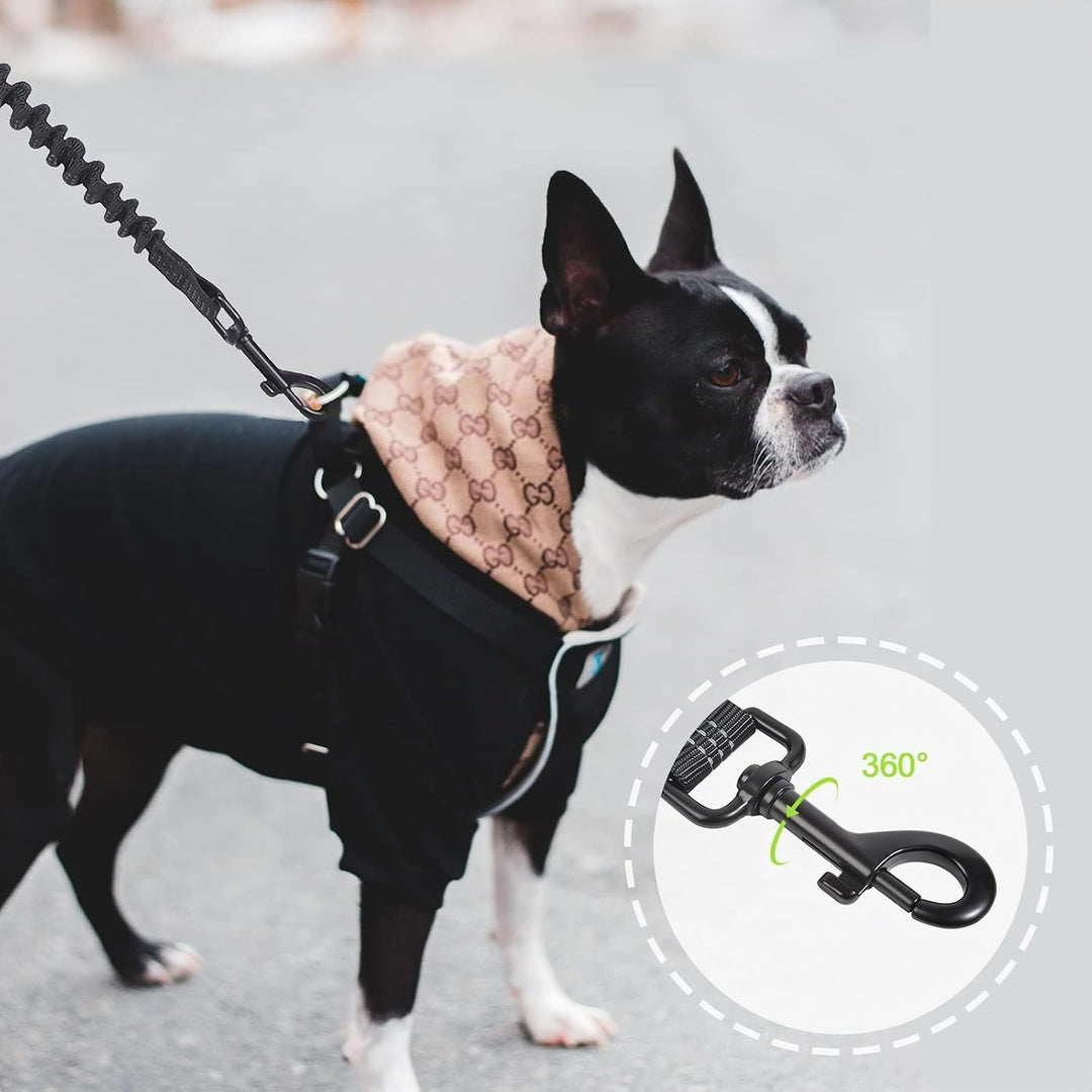 Snocyo Joggingleine Hunde, Jogging Hundeleine für Mittelgrosse und Grosse Hunde, Elastische und Refl