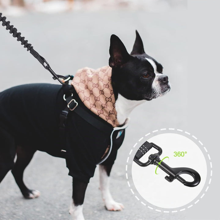 Snocyo Joggingleine Hunde, Jogging Hundeleine für Mittelgrosse und Grosse Hunde, Elastische und Refl