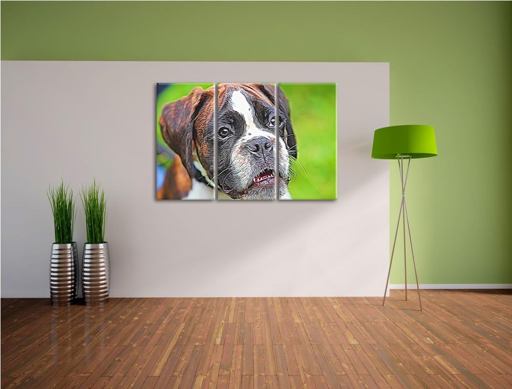 Deutscher Boxer Welpe im Gras NewArt 3-Teiler Leinwandbild 120x80 Bild auf Leinwand, XXL riesige Bil
