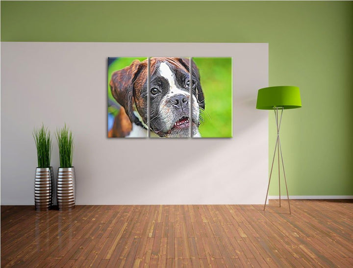 Deutscher Boxer Welpe im Gras NewArt 3-Teiler Leinwandbild 120x80 Bild auf Leinwand, XXL riesige Bil