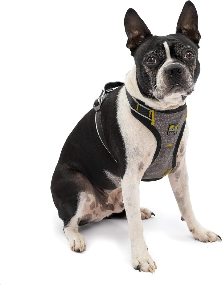 Kurgo Impact Hunde-Autogeschirr, Crashtest-geprüft für mehr Sicherheit, Für Hunde von 5-11 kg geeign
