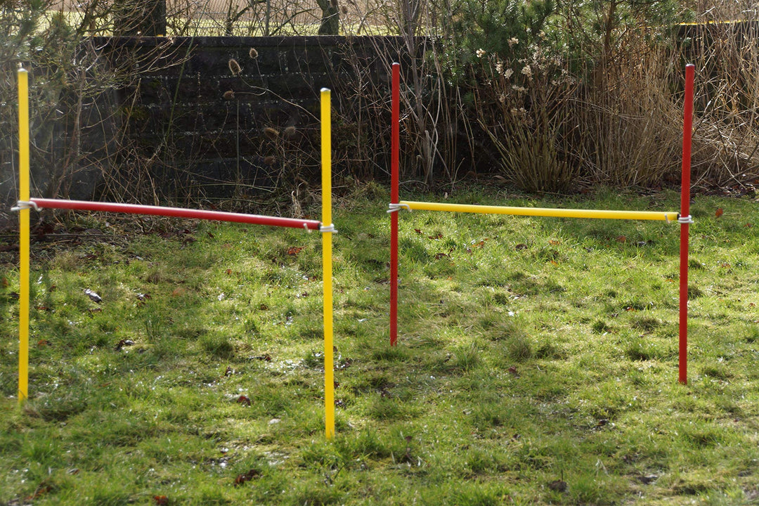 4 X Agility-ÜBUNGS-HÜRDEN-Set IN ROT/GELB