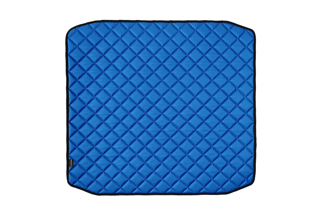 F-CORE Mittelmatte (für den Tunnel) LKW für DAF XG+ XG 10.21- BLAU, Blau