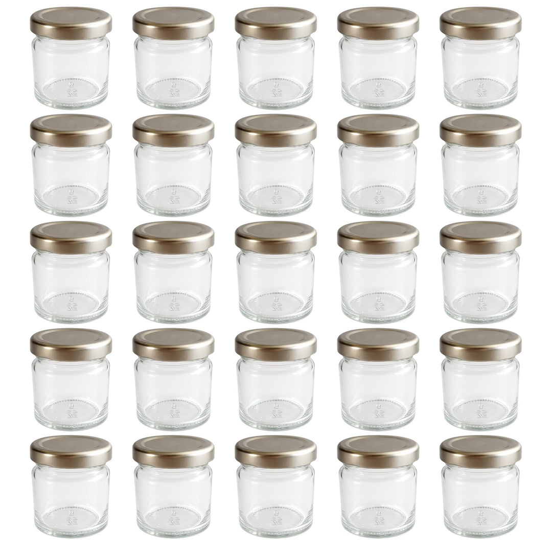 hocz 28x Mini Marmeladengläser 53 ml Set | Deckel Silber TO 43 | kleine Einmachgläser mit Schraubdec