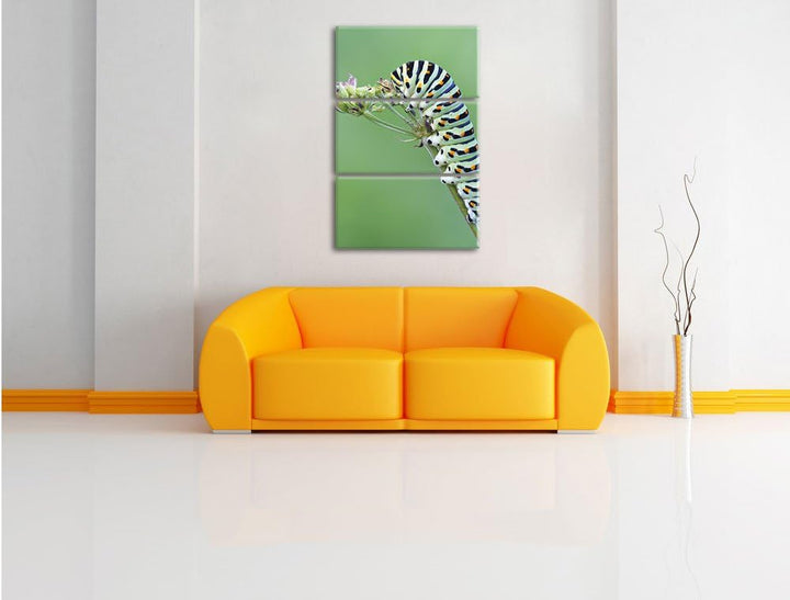Pixxprint Grüne Raupe auf AST Tiere als Leinwandbild/Grösse: 3 Teilig (120x80) cm/Wandbild/Kunstdruc