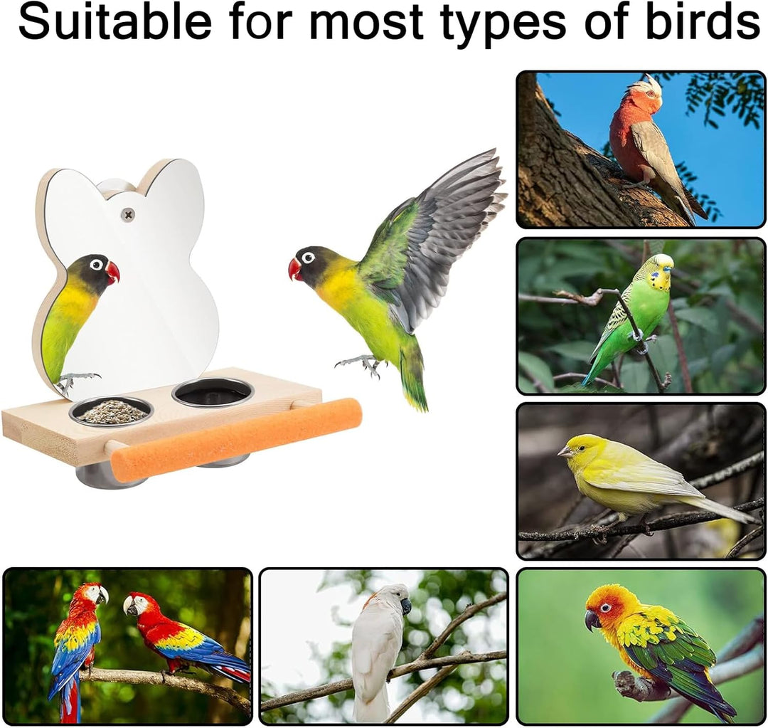 Vogelspiegel mit Sitzstange, Vogelsitzstange mit Spiegel und 2 Fütterung Tassen, Vogelspielzeug, Spi