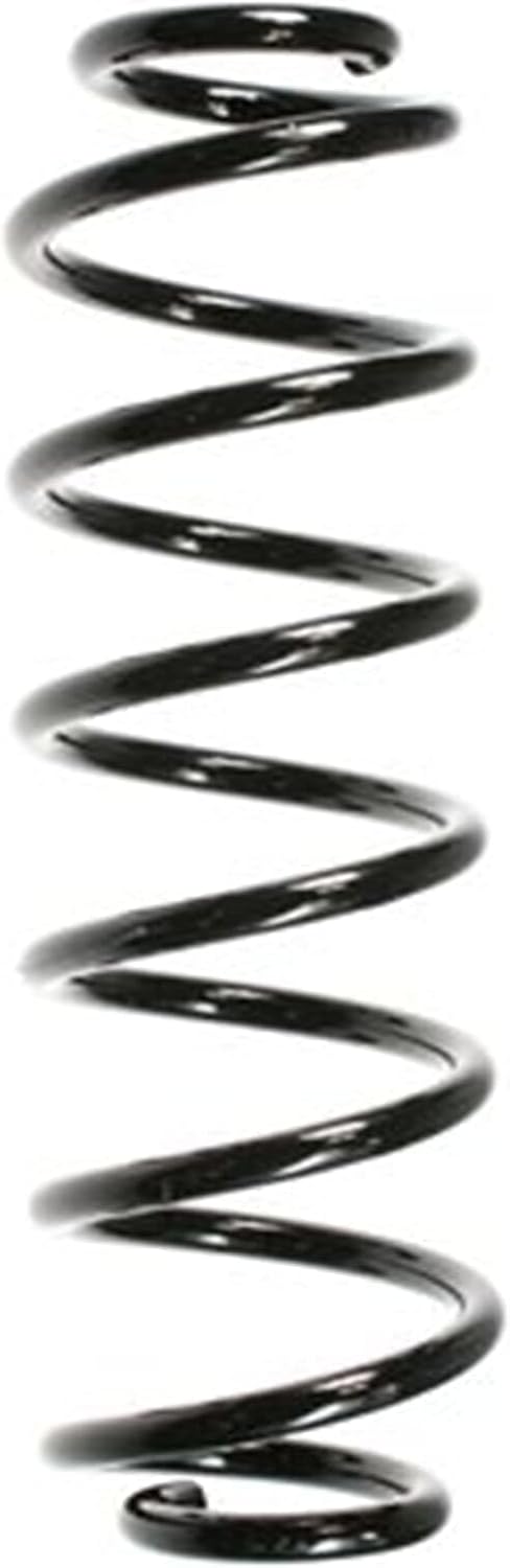 SPIDAN 56296 Fahrwerksfeder