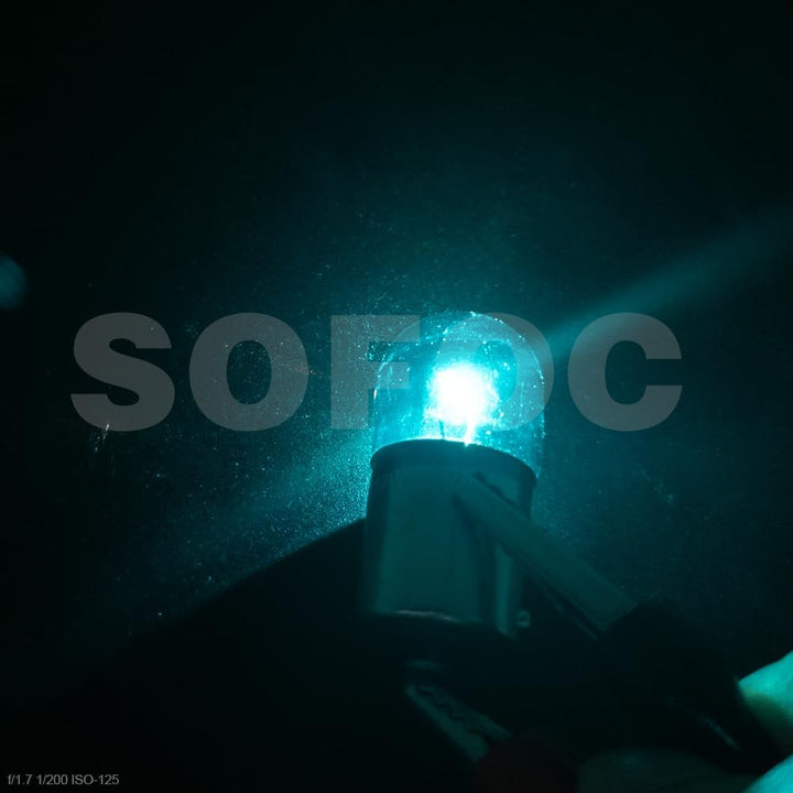 SOFOC BAU15S PY21W Lampe Blau T16 12V 10W für Kontrollleuchte Begrenzungslicht .etc Non-Polarität 10