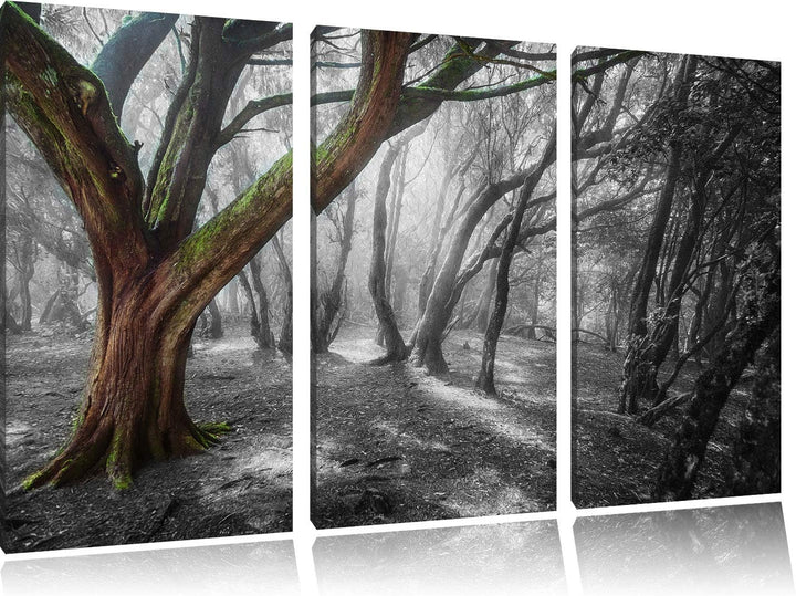 einsamer Baum in tristem Grau schwarz/weiss 3-Teiler Leinwandbild 120x80 Bild auf Leinwand, XXL ries
