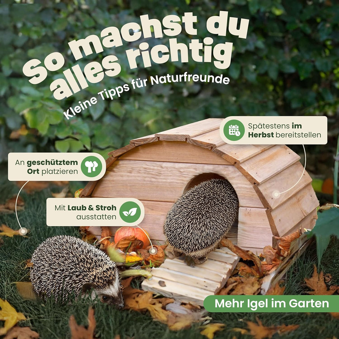 zooprinz Igelhaus aus Vollholz – Winterfest & wetterfest, mit Bodenplatte – Labyrinth-Eingang gegen