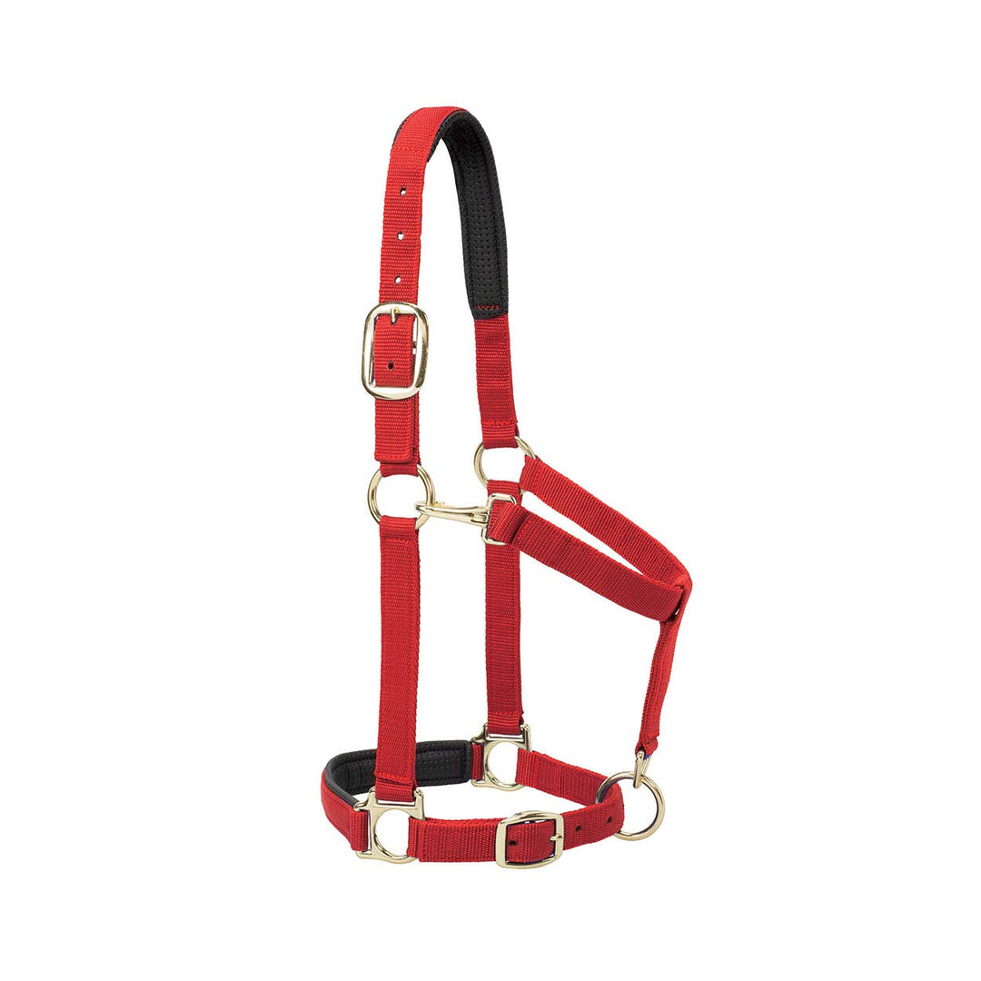 Weaver Farbe Gepolsterte, verstellbare Kinn und Hals Snap Halfter rot 1" Average Horse or Yearling D