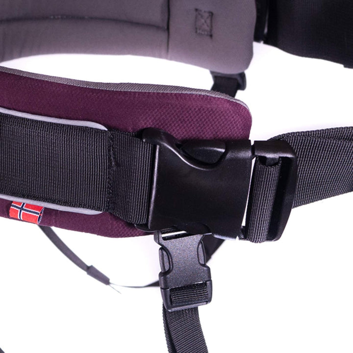 Trekking Belt von Nonstop, Laufgurt,Jogginggurt, Wandergurt für Hunde (S, Purple) S Purple, S Purple
