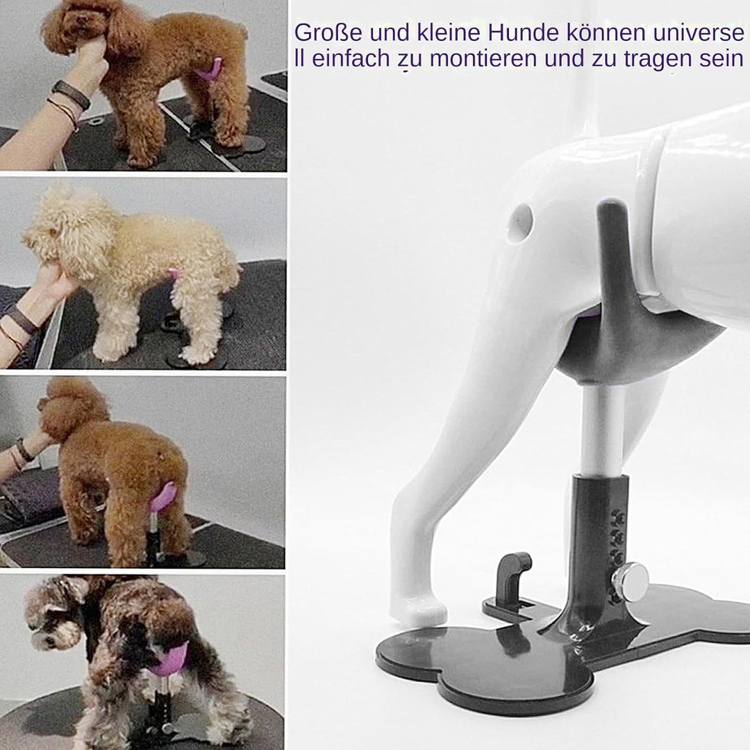 Generisch Pflegestuhl Für Kleine Hunde | Stehhilfe Zum Baden - Höhenverstellbarer Rutschfester Assis
